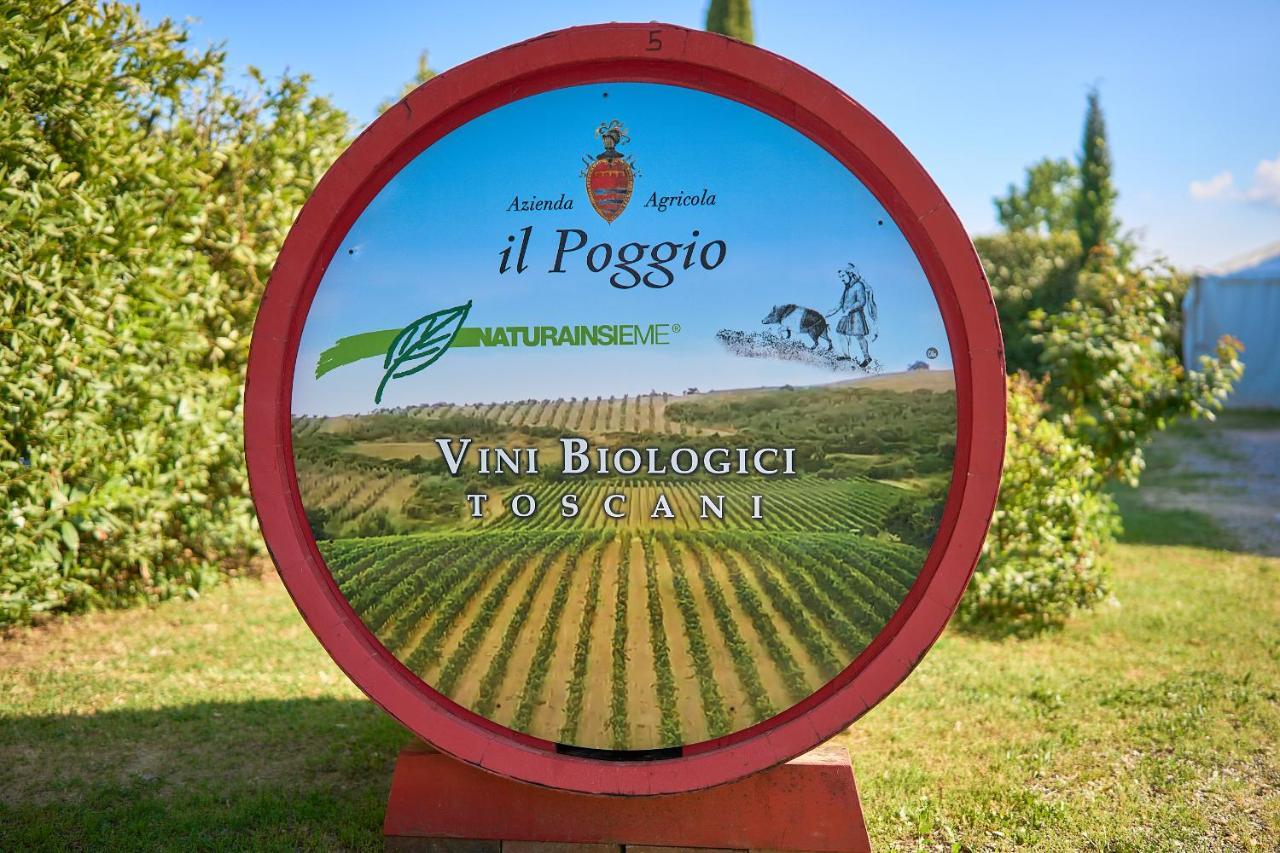Гостевой дом Il Poggio Челле-Суль-Риго Экстерьер фото